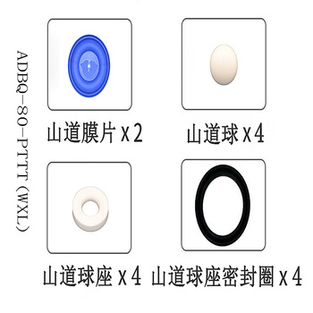 正量POSITIVE 隔膜泵流体维修包 ADBQ-80-PTTT(WXL)