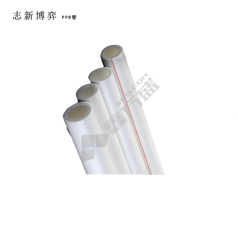 志新博弈 PPR管 32