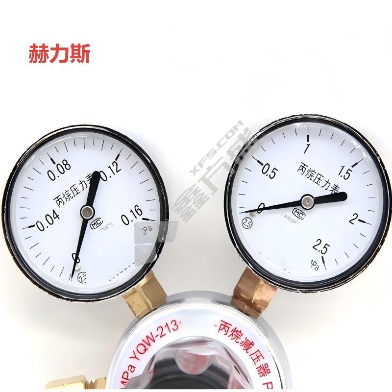 赫力斯 丙烷减压器 YQW -213