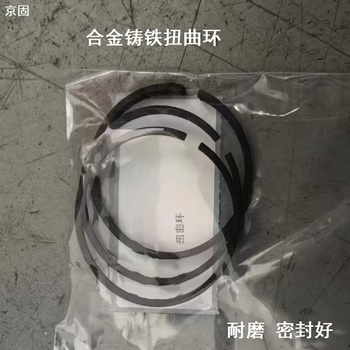 京固 合金铸铁扭曲环垫圈 Ф 48