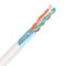 COMMSCOPE 1m 超六类屏蔽网线 884024508/10/白色/8芯*0.57mm