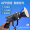 硕士朗 补光灯南光照明灯聚光灯景观灯 FS-300B