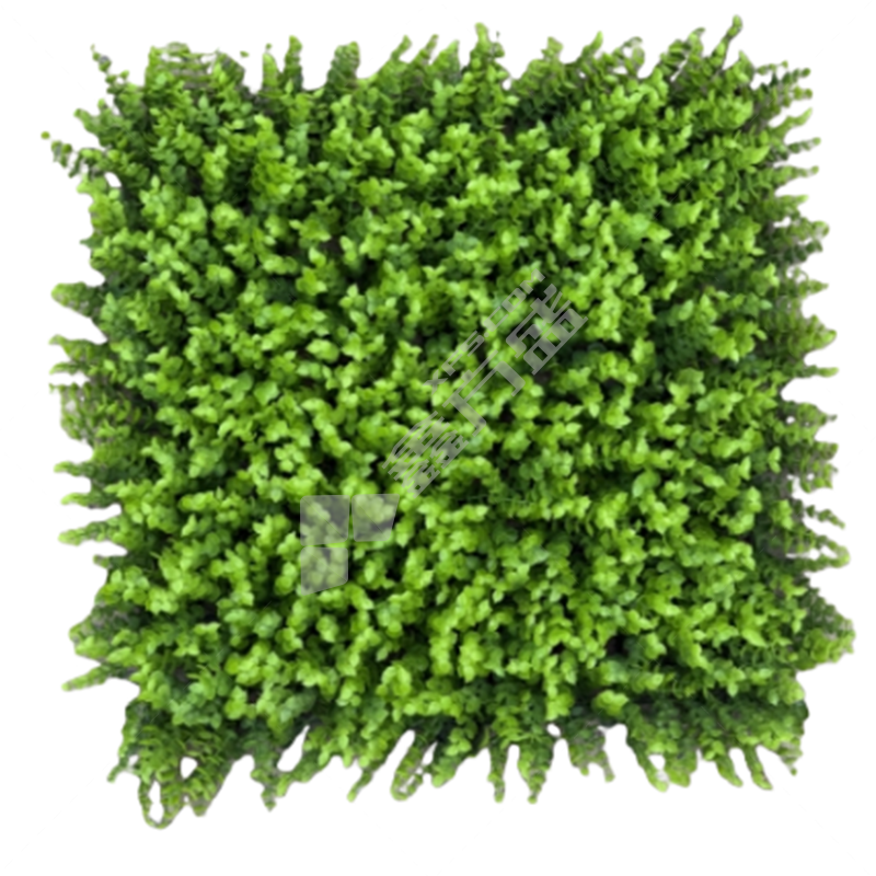 国产优品 有背胶 假草坪 50*50cm/无/绿色