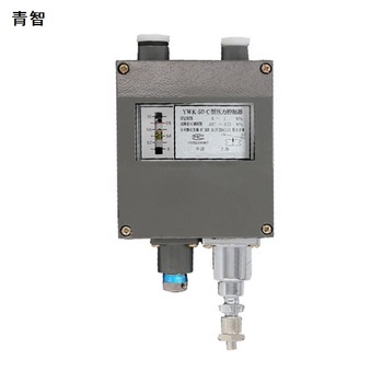 青智 压力控制器 YWK-50-C.
