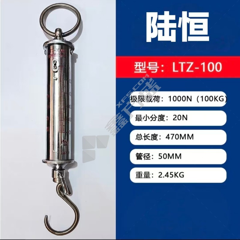 陆恒 测力计 LTZ-100 极限荷载1000N（100kg）