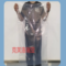 克芙洛瑞亚 真空食品袋 直径1800mm×高度1800mm/单面厚度0.1mm 100个