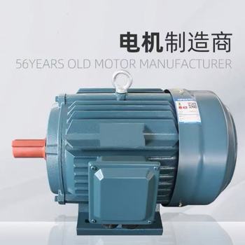 阀厘达 三相异步电机 YE5-180L-6，15KW，980r/min，卧式，带皮带轮
