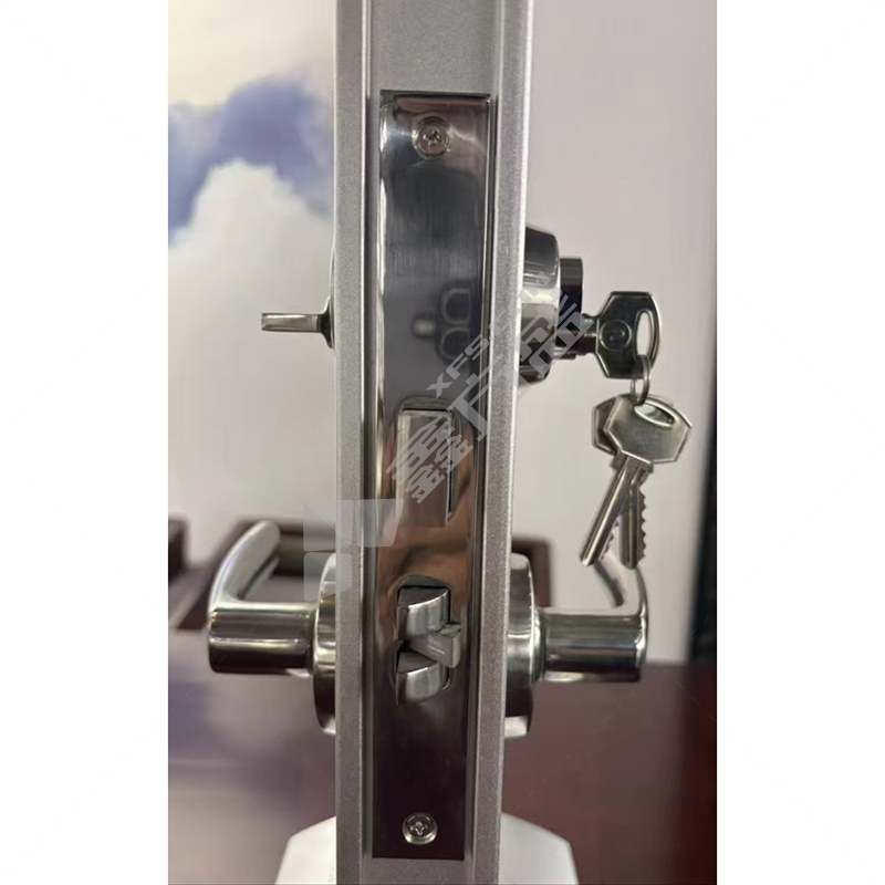 PINEAPPLE菠萝 防火门锁 C1-右外