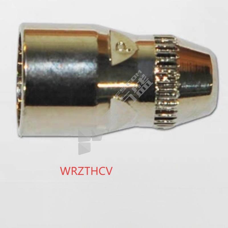 WRZTHCV 电极 TET02033