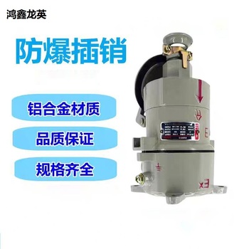 鸿鑫龙英 防爆插销 BCX53-16-220V/380V