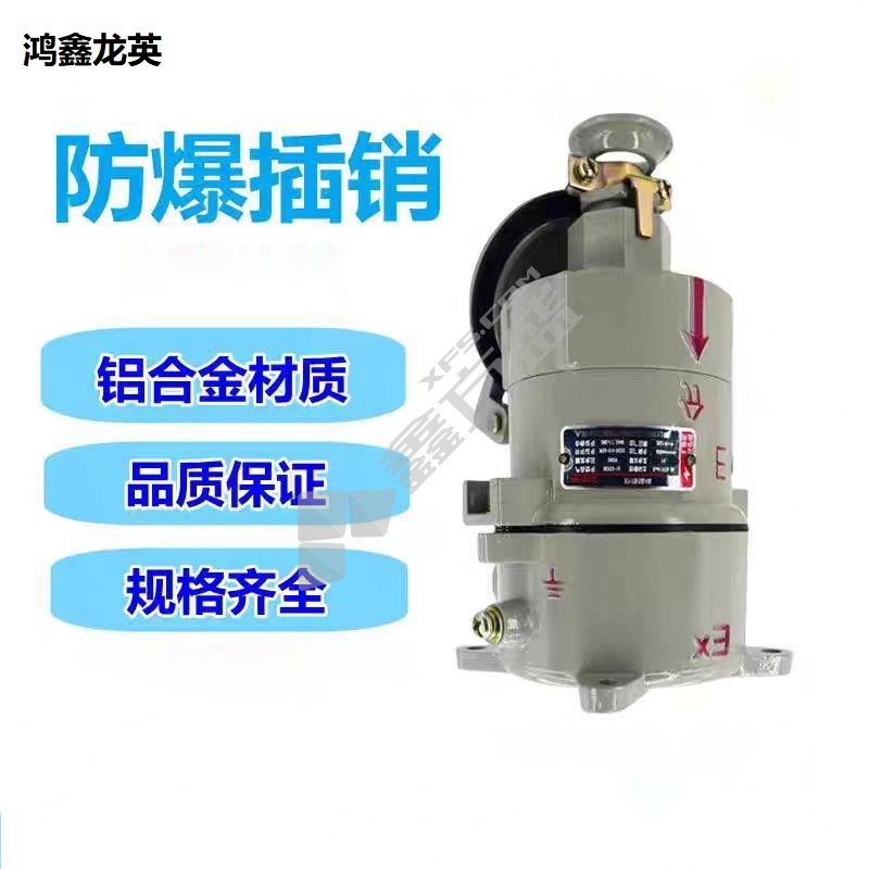 鸿鑫龙英 防爆插销 BCX53-16-220V/380V