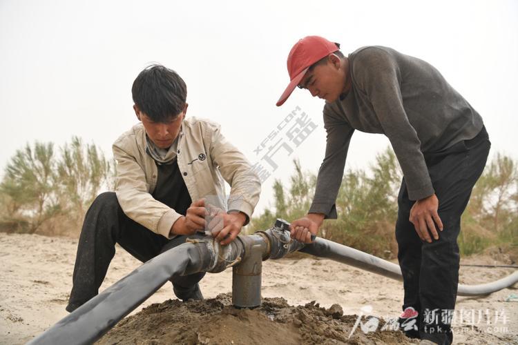 守候阳光 滴灌带.  厚0.2mm 1000米/卷   聚乙烯  .