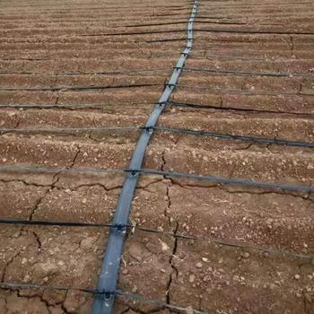 守候阳光 主管输水带.  2寸 100米/卷     .