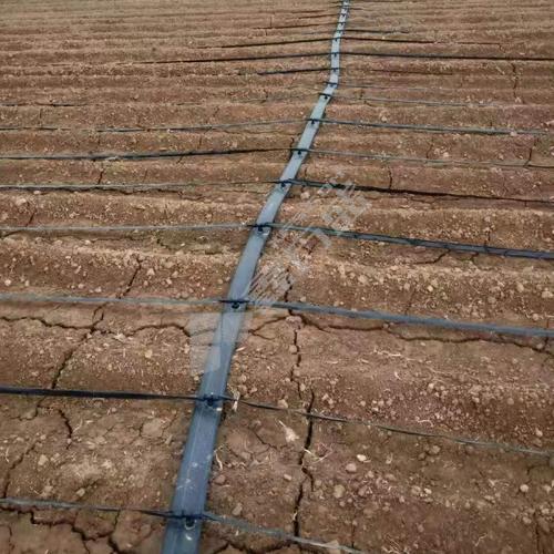 守候阳光 主管输水带.  2寸 100米/卷     .