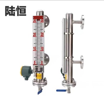 陆恒 磁翻板液位计 上下法兰中心距L=300mm，测量介质：水，304法兰尺寸：DN25PN2.0工作温度：300℃.