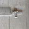 申迪 具砂板层析柱 Φ32mm,L305mm,24/40，节门孔径:2mm