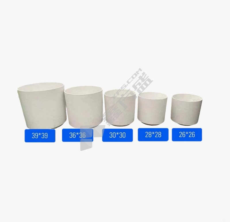 大富贵竹 1.8米