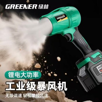 绿林 吹雪机 顶配续航款32级超大风力（20AH/21V背包电池）