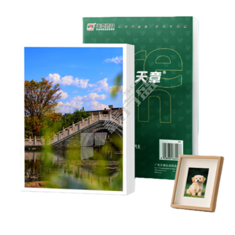 新绿天章 双面高光铜版纸 P72856 双面高光铜版纸200g A3++ 250张/盒(盒)