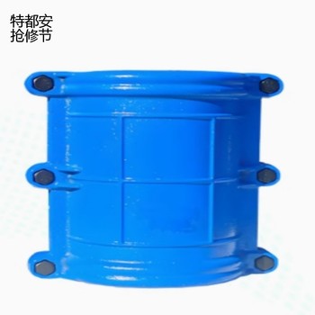 特都安 抢修节 DN50*100 PN16