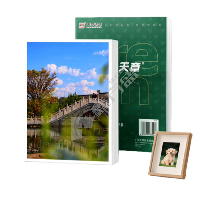 新绿天章 相片纸 P72858 双面高光铜版纸200g SRA3 250张/盒(盒)