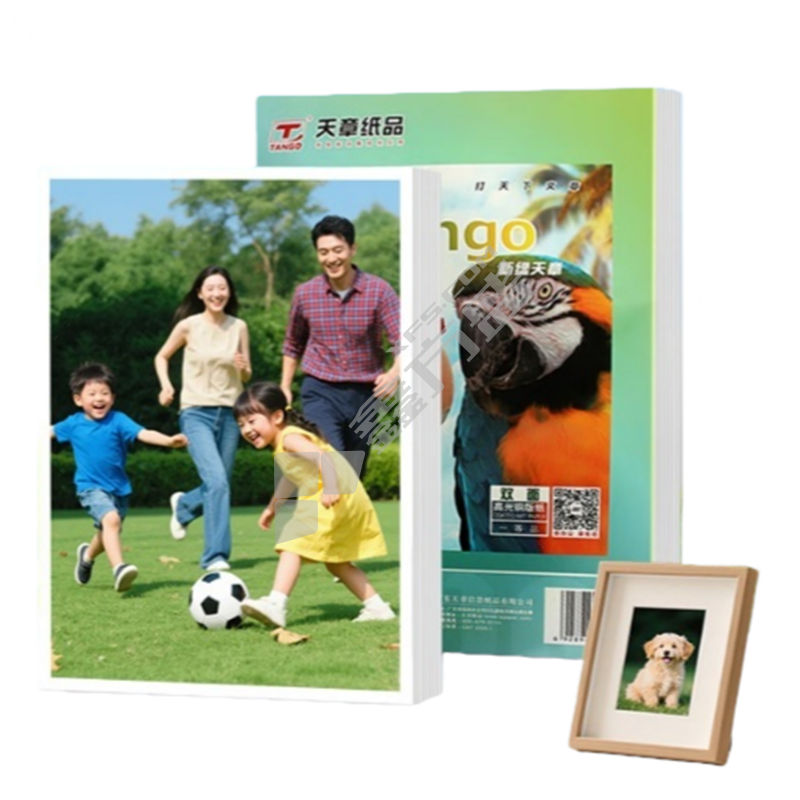 新绿天章 相片纸 P73470双面高光铜版纸105克 A3（420mm*297mm）/50张/包 （包）