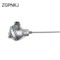 ZGPNKJ 热电偶 WRNK-KG8/200 K分度，0-600℃ DN200管径