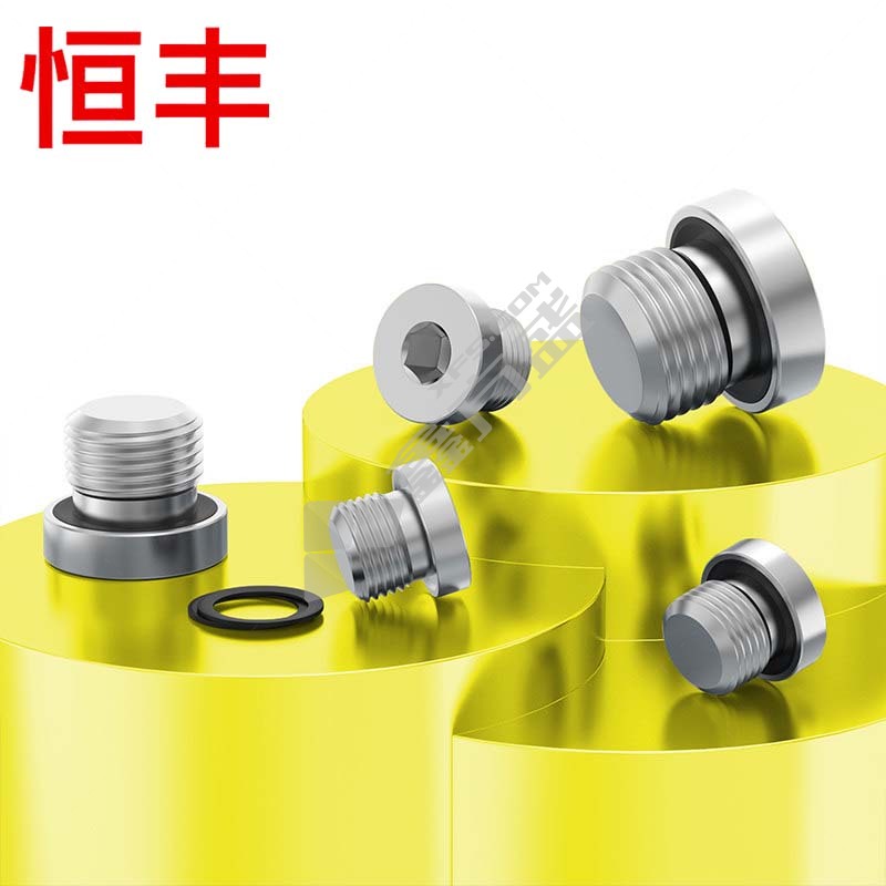 恒丰 内六角密封圈堵头304不锈钢 G1/8 304不锈钢 银色