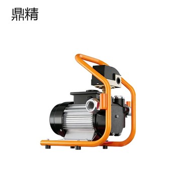 鼎精 电动油泵 750W/含18米油管/加油枪
