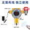 中安 可燃气体报警器 EXLC5603（0-100）%LEL