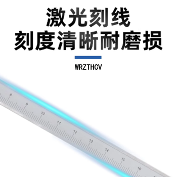 WRZTHCV 深度尺（含计量） 500mm