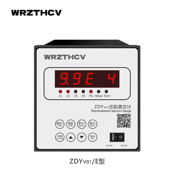 WRZTHCV 压阻真空计 ZDYv01-E型