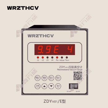 WRZTHCV 压阻真空计. ZDYv01-E型