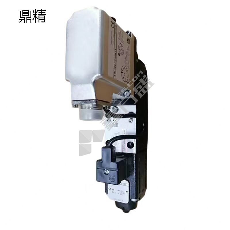 鼎精 比例阀 RZGO-REB-P-NP-033/100-10