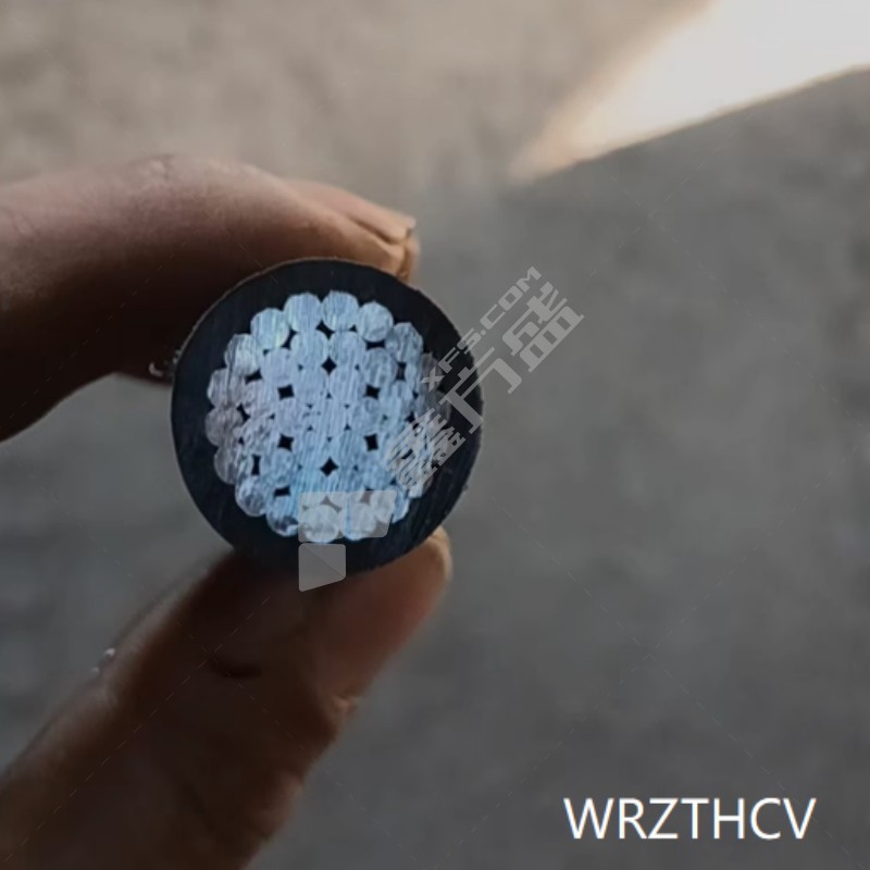 WRZTHCV 高压电缆 10001482（CT设备专用）.4*1.5平方