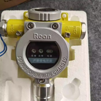 HRean 一氧化碳气体探测器 GTYQ-RZLED08