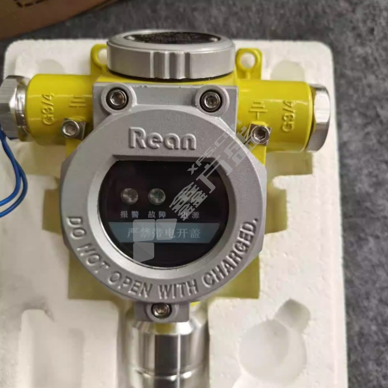 HRean 一氧化碳气体探测器 GTYQ-RZLED08