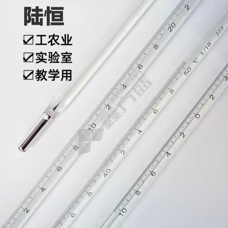 陆恒 水银温度计 0.1℃