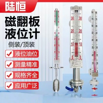 陆恒 液位计 安装法兰:DN80，防爆等级ExdbIICT4，电气接口:M20*1.5