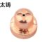 太铸 电极 010103a011019 （下）