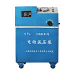 远东 电动试压泵单缸380V DSB-150/10 380V