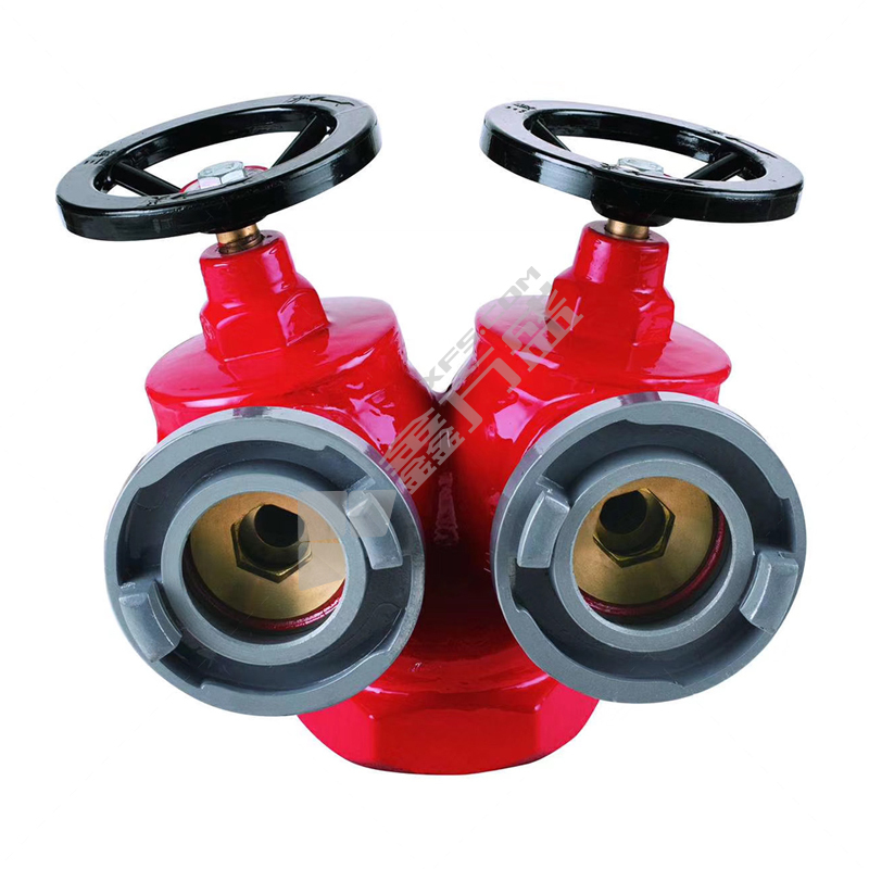 柳成 双阀双出口型 室内消火栓 1.6Mpa SNSS80