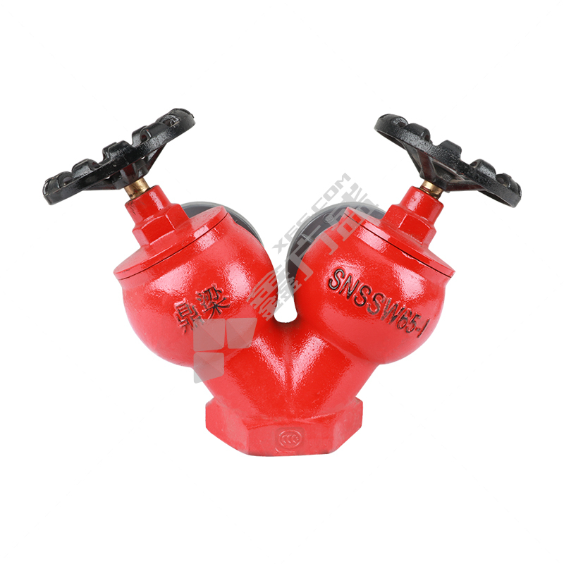 鼎梁 双阀双出口型 室内消火栓 1.6Mpa SNSS65