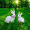 万硕 玻璃钢雕塑跳舞兔子 约50cm*40cm*40cm