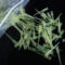 WITEG 黄色吸头 AACR-5-407-031