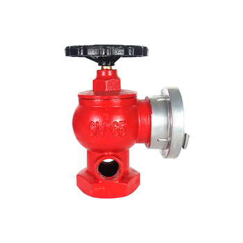 柳成 卷盘型 室内消火栓 1.6Mpa SN65-Y