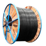 起帆 船用电缆 CEFR92/SC 0.6/1kV 2*6平方 黑色