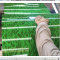 彩钢围挡板 小草 0.3mm*0.9m*2m 绿色