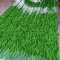 彩钢围挡板 小草 0.4mm*0.9m*2m 绿色