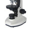 测维CEWEI 简易偏光显微镜 LW35PT